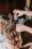 Penteado para Noivas em São Sebastião – Sofisticação e Elegância no Be Yourself